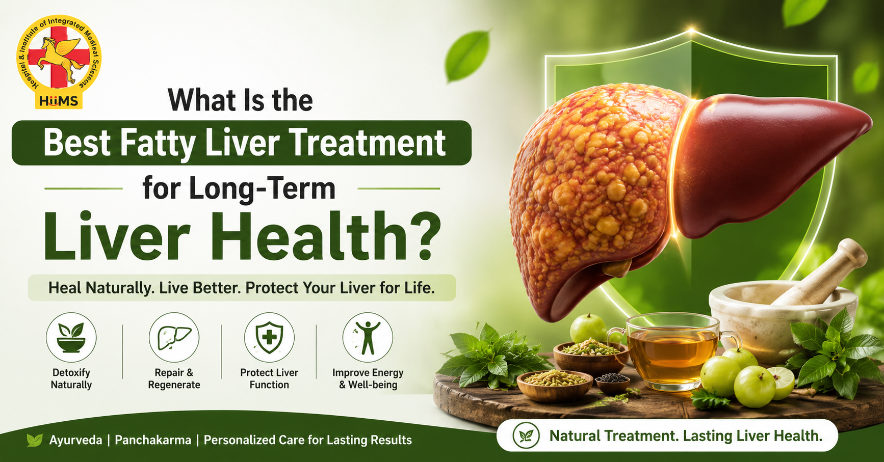 What Is the Best Fatty Liver Treatment for Long-Term Liver Health?